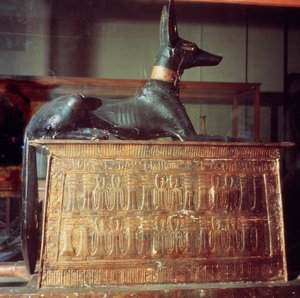 Anubis, egipski bóg zmarłych, siedzący na skrzyni w formie świątyni, z grobowca Tutanchamona (ok. 1370-52 pne) Nowe Królestwo (drewno) (patrz także 149424)